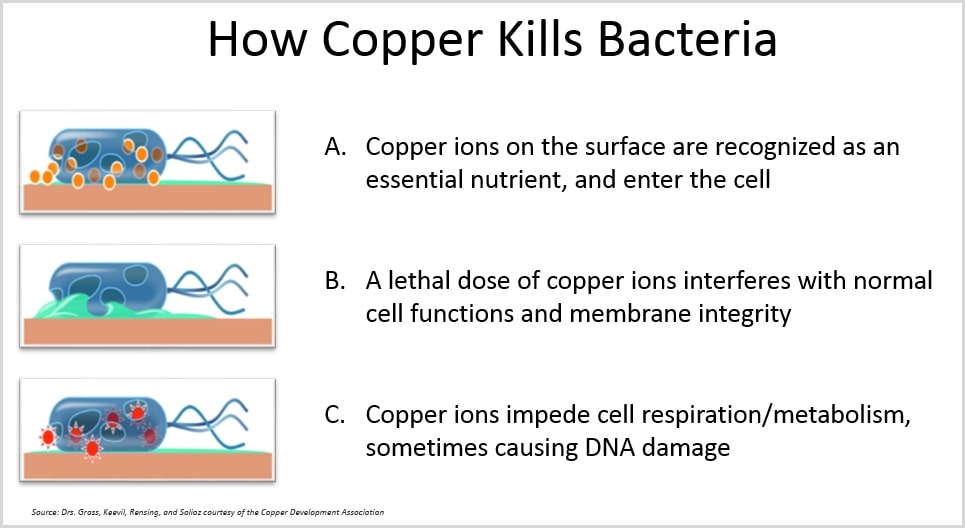 How Antimicrobial Copper Kills Bacteria