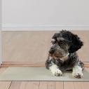 Dog on copper mat